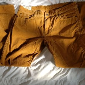 Hollister Skinny Corduroy Pants 36x32